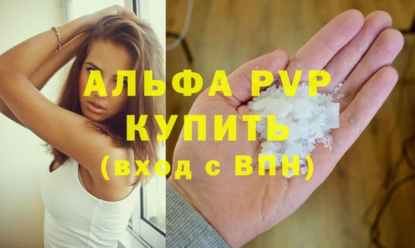 прущие крисы Новозыбков
