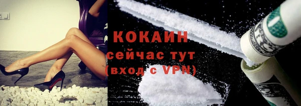 прущие крисы Новозыбков