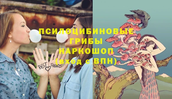 прущие крисы Новозыбков