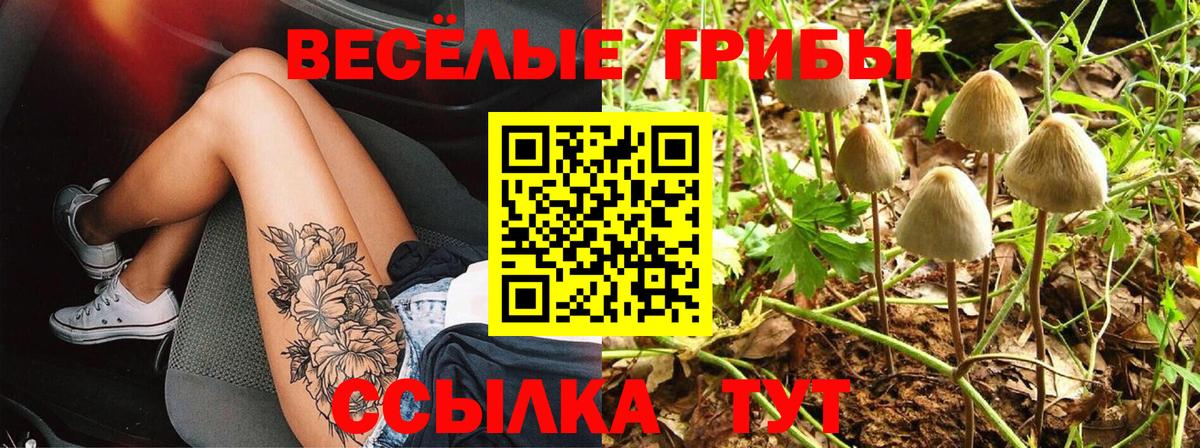 Псилоцибиновые грибы MAGIC MUSHROOMS Красноармейск