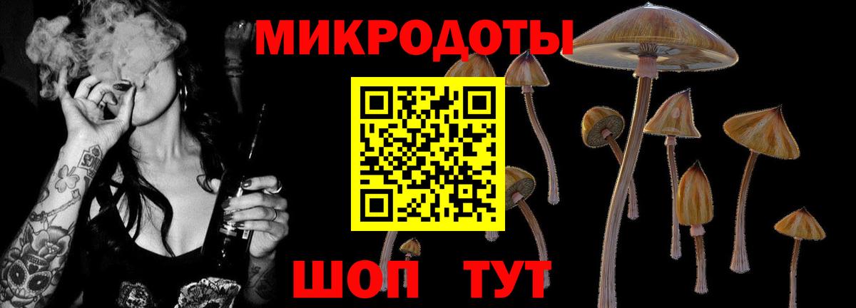 Красноармейск  Галлюциногенные грибы Psilocybe  Псилоцибиновые грибы прущие грибы  Вход с VPN 